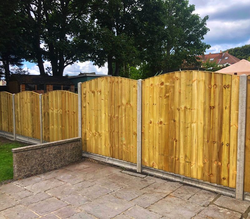 WhatsApp Image 2026-01-28 at 8.11.16 PM