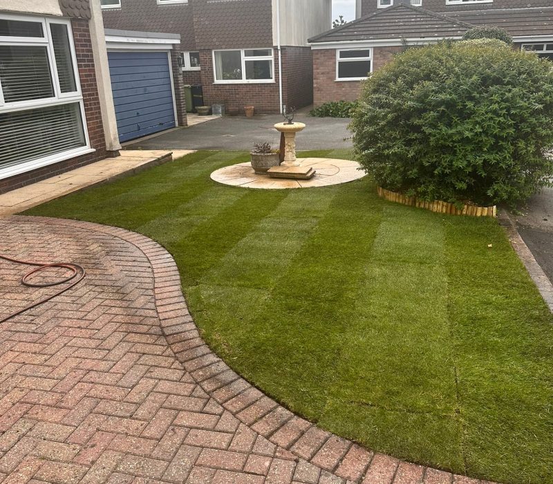 WhatsApp Image 2026-01-28 at 8.20.55 PM