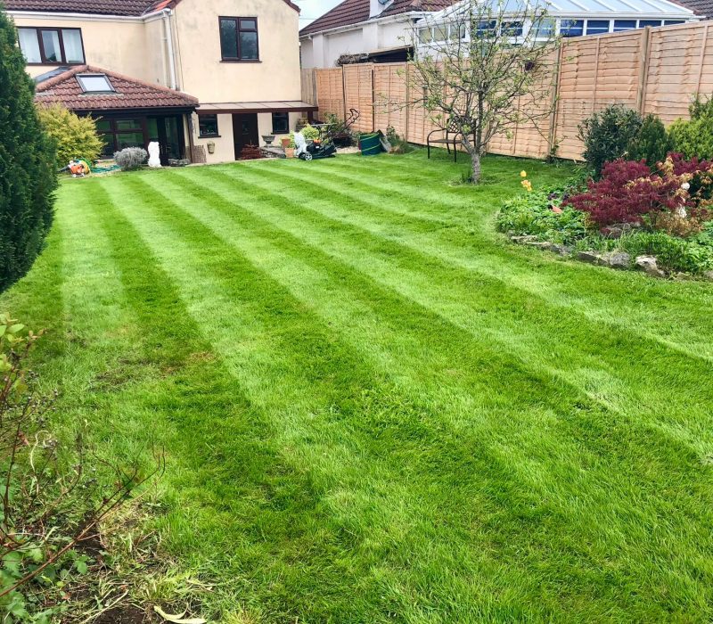 WhatsApp Image 2026-01-28 at 8.24.18 PM